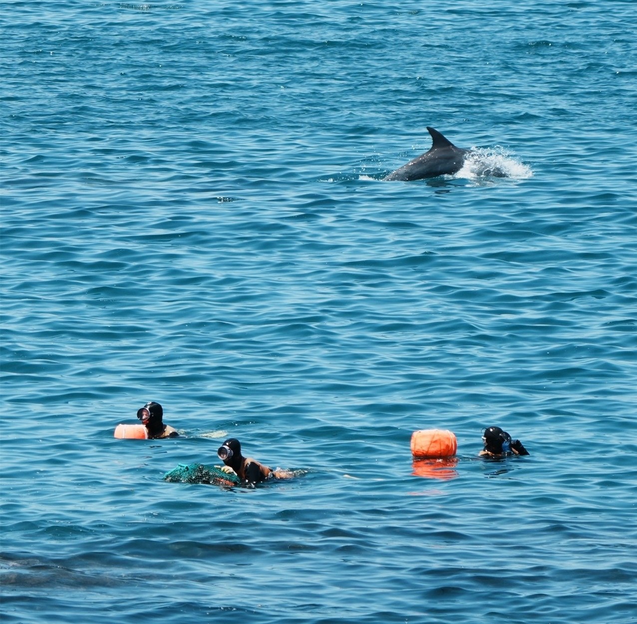 The haenyeo village day on Jeju