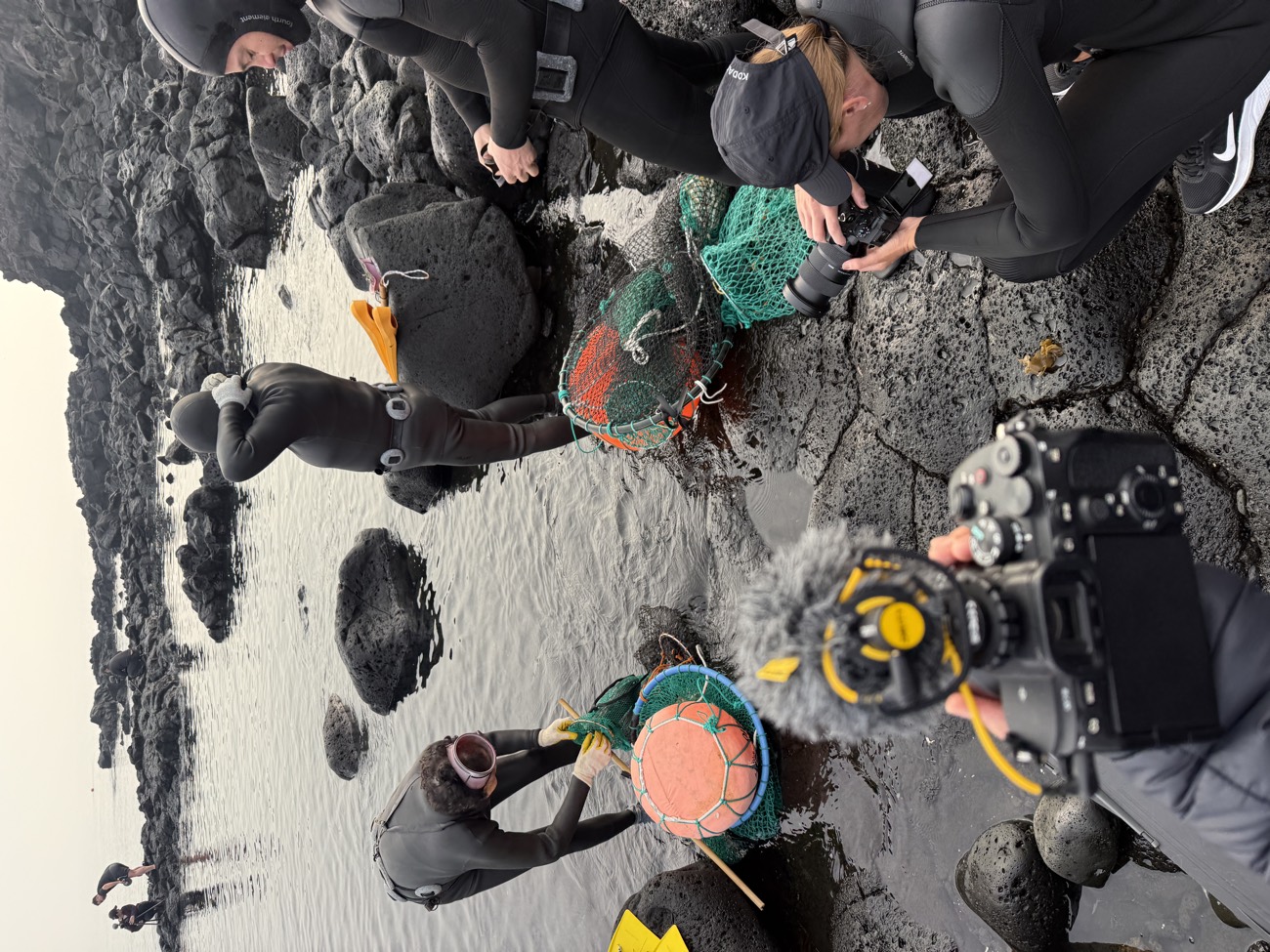 A haenyeo at work along the rocky shore